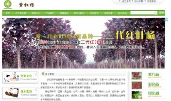 紫红杨，紫红杨，种植基地是一个集科研，种苗繁育的实业公司