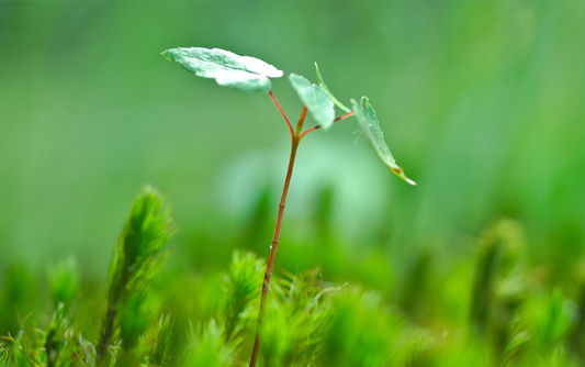 南宁节能环保网站建设,南宁节能环保网站设计方案